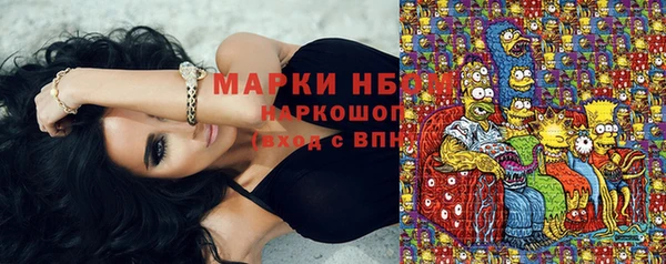 ГАЛЛЮЦИНОГЕННЫЕ ГРИБЫ Пестово