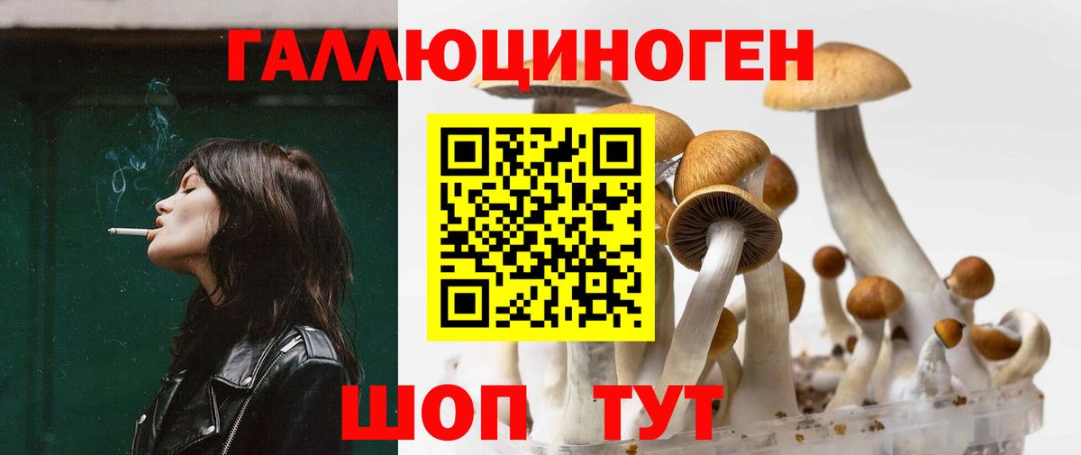 Псилоцибиновые грибы Psilocybine cubensis  Вход с VPN  Котовск 
