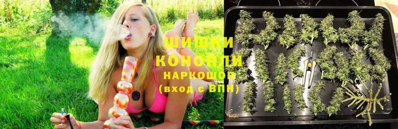 Шишки марихуана гибрид  купить наркотики сайты  Котовск 